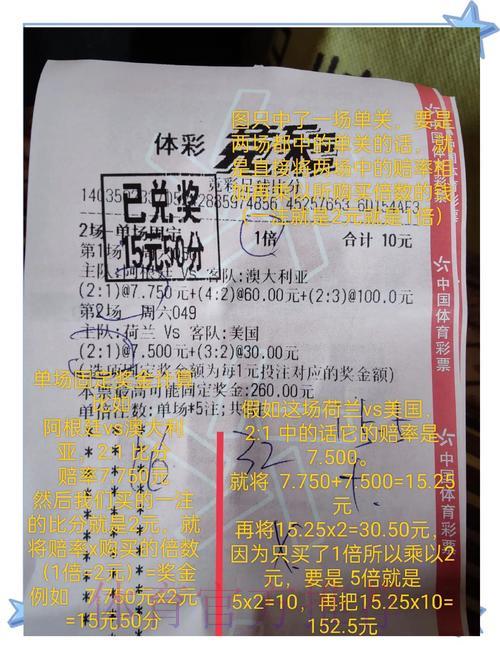 世界杯竞彩:多样化投注策略的优势与风险 世界杯竞彩:多样化投注策略的优势与风险